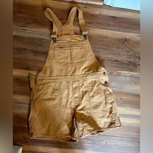 Patagonia 5” Camel Overall Shorts